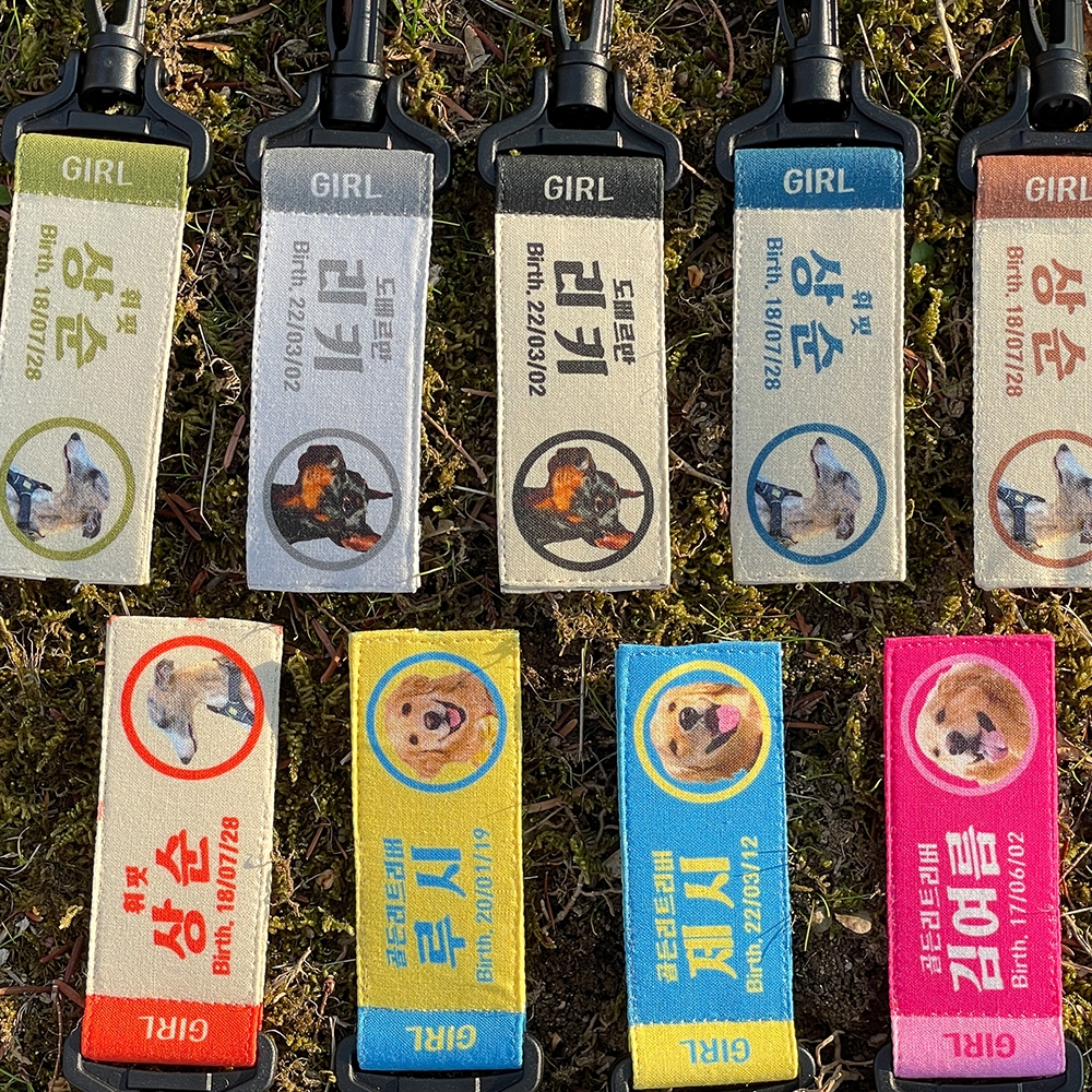 오리지널 네임택 강아지인식표