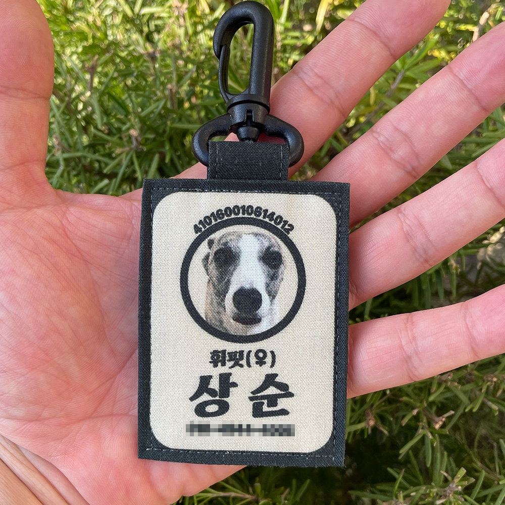 카드형 네임택 강아지인식표